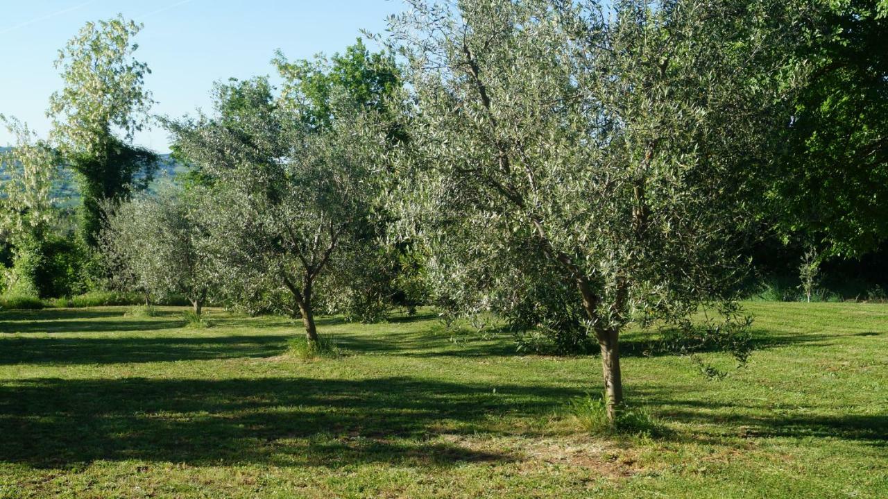 Agriturismo Poggio San Pietro Pitigliano Buitenkant foto